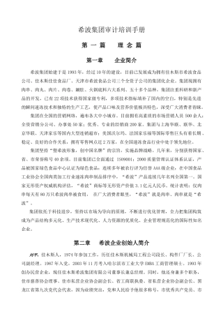 希波集团审计培训手册