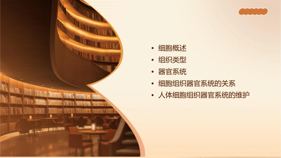 细胞《组织器官系统》课件_第2页