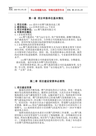 煤气项目资金申请报告(DOC36页)