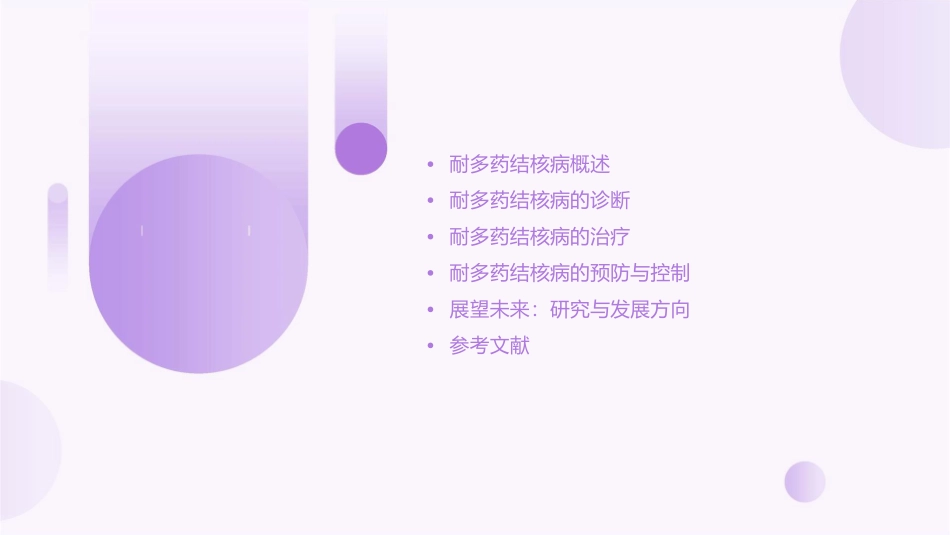 耐多药结核病诊断及其治疗课件_第2页