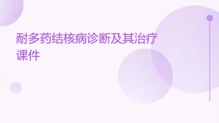 耐多药结核病诊断及其治疗课件