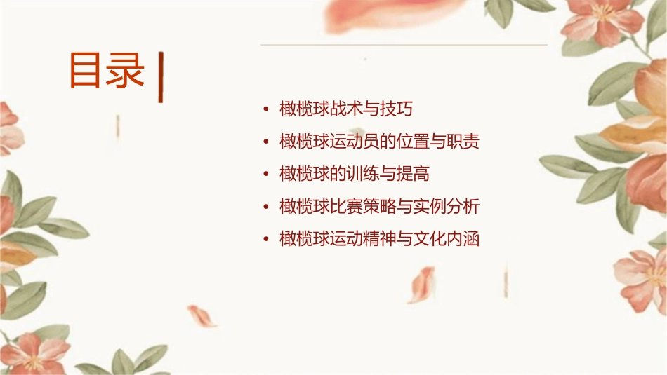 橄榄球理论知识讲座课件_第2页