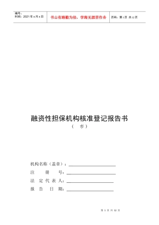 融资性担保机构核准登记报告书范本