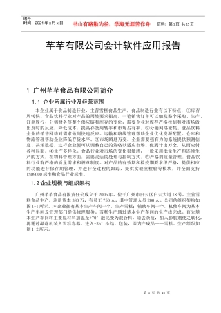 某公司会计软件应用报告