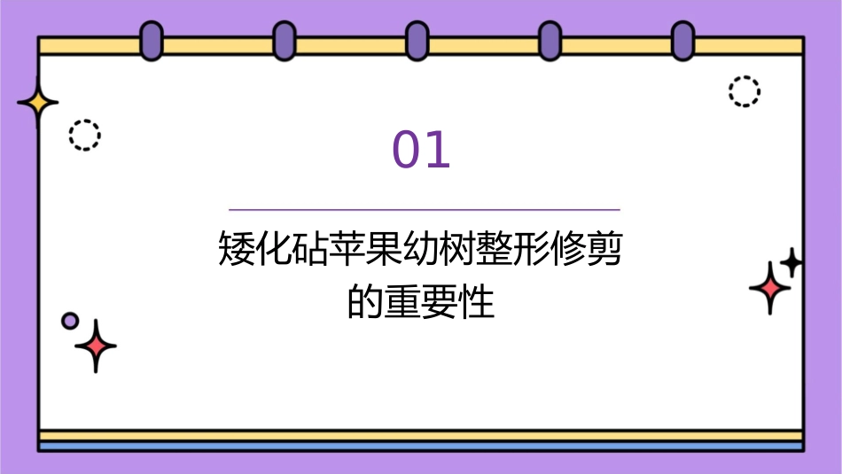 矮化砧苹果幼树整形修剪图说马宝焜课件_第3页