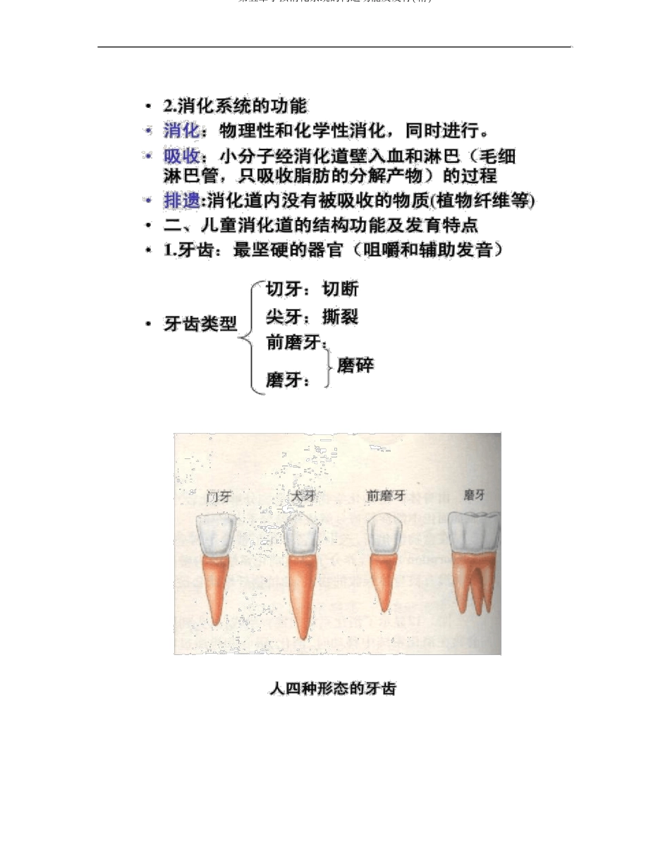儿童消化系统的结构功能及发育精_第2页