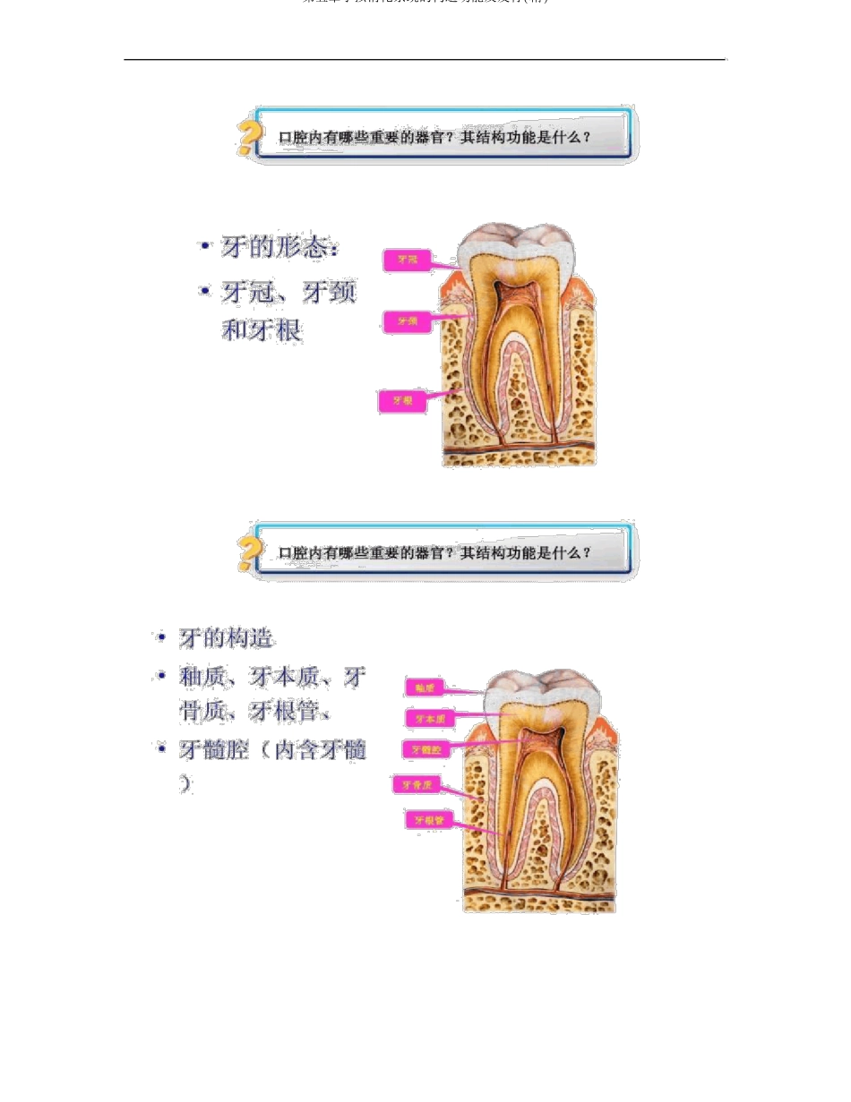 儿童消化系统的结构功能及发育精_第3页