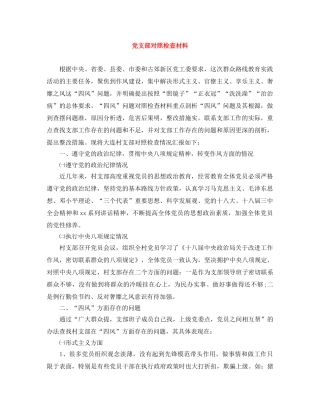 党支部对照检查材料 