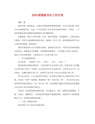 团委副书记工作计划 