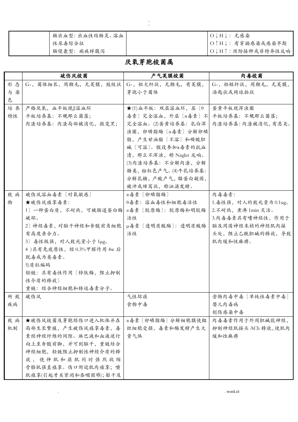 医学微生物学图表式总结_第3页