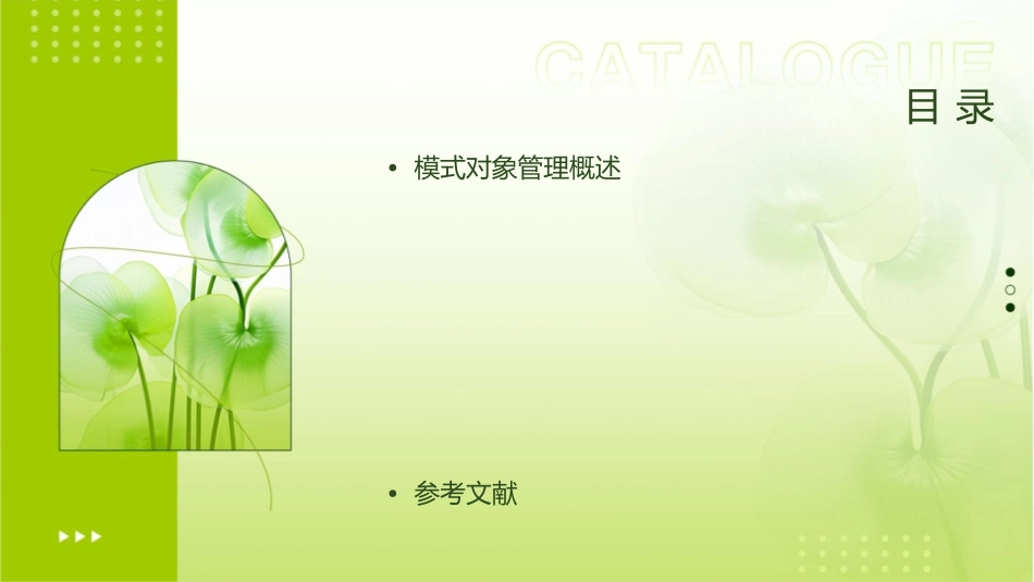 模式对象管理及数据完整性课件_第2页