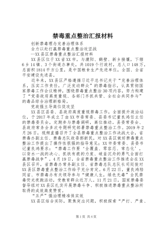 禁毒重点整治汇报材料