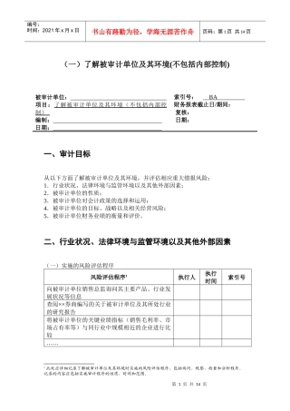 2-1-0风险评估工作底稿——了解被审计单位及其环境(不包括内部控制)