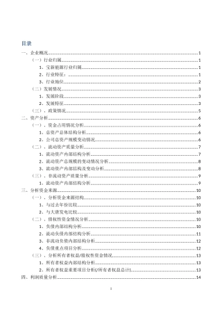 某公司财务分析报告(DOCX 41页)