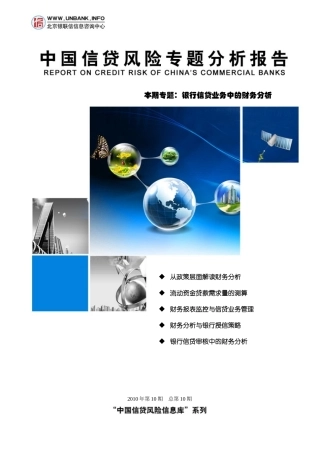 中国信贷风险专题分析报告XXXX年第10期—银行信贷业务中的财务分析