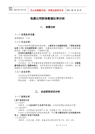 电器公司财务数据比率分析模板