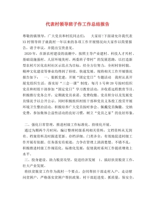 代表村领导班子作工作总结报告 