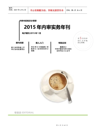 XXXX年1月内审实务年刊