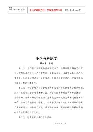 某集团财务分析制度