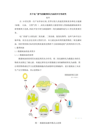 藻类吸收二氧化碳制油发电可行性研究