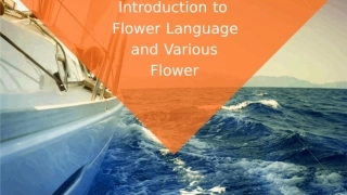 花语及各种花朵英文介绍课件