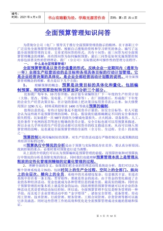 上海某电厂全面预算资料