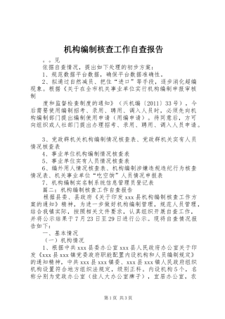 机构编制核查工作自查报告