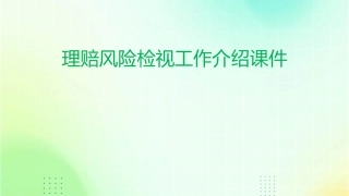 理赔风险检视工作介绍课件
