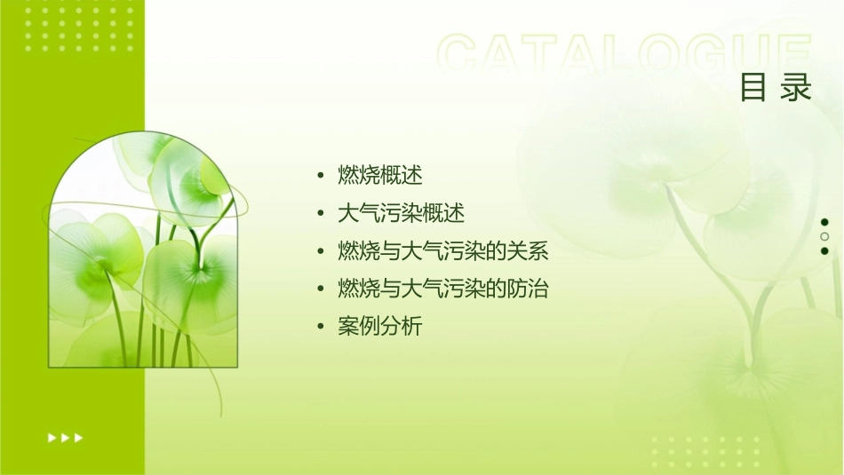 燃烧与大气污染讲解课件_第2页