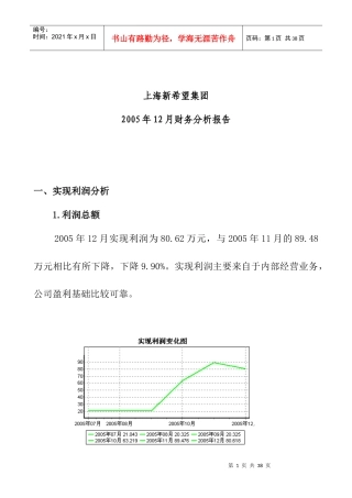 上海某集团财务分析报告(doc 29页)