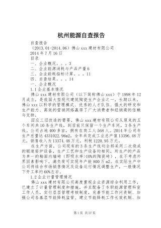 杭州能源自查报告