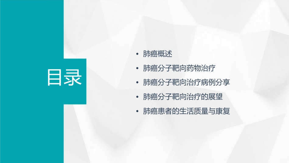 肺癌分子靶向药物治疗病例分享 课件_第2页