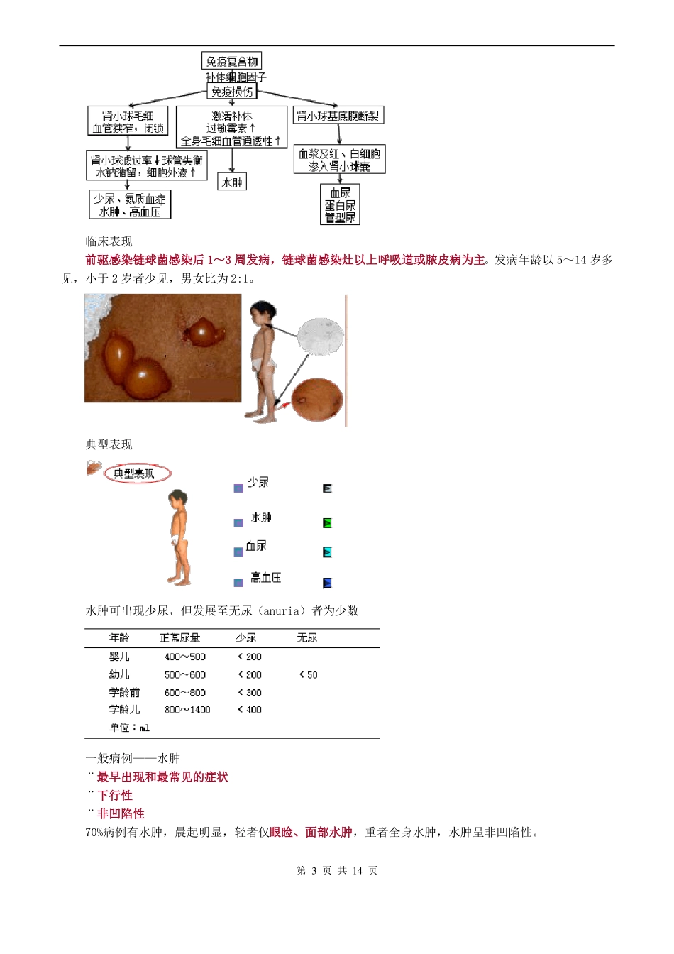 儿科护理学泌尿系统疾病患儿的护理_第3页