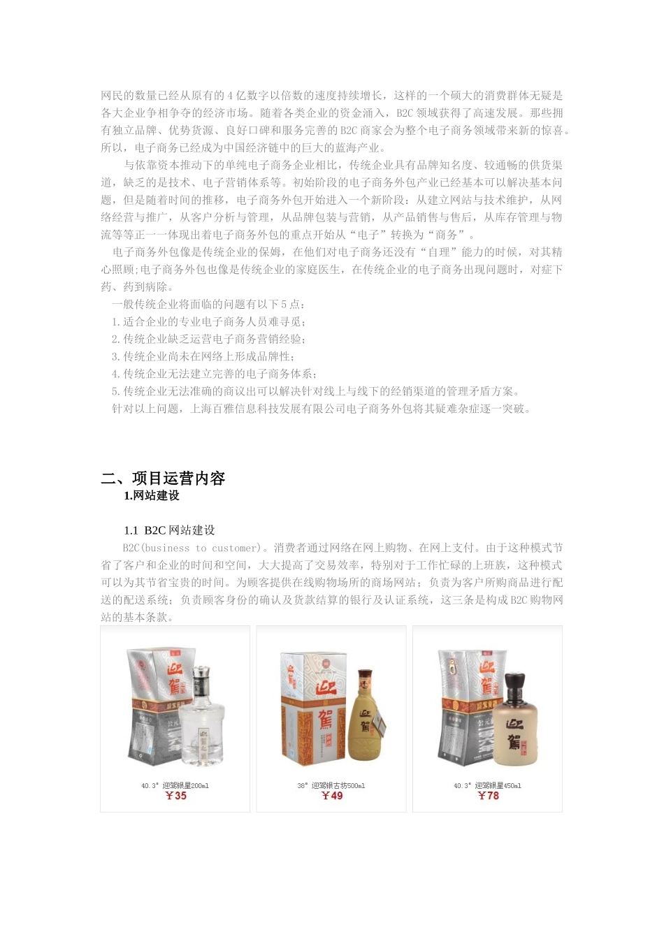 迎驾酒电子商务运营方案1.1_第2页