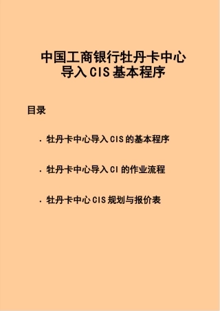 中国某银行牡丹卡中心vis手册报价