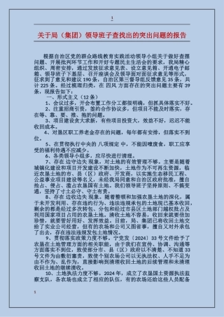 关于局领导班子查找出的突出问题的报告
