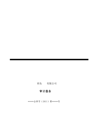 青岛某公司审计报告