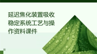 延迟焦化装置吸收稳定系统工艺与操作资料课件