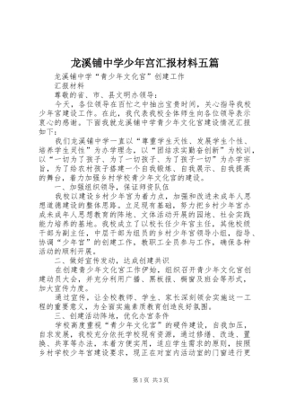 龙溪铺中学少年宫汇报材料五篇