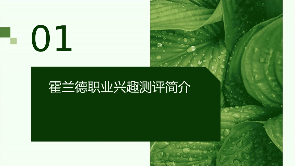 霍兰德职业兴趣测评教学辅助版课件_第3页