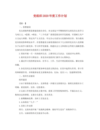 党组织2020年度工作计划 