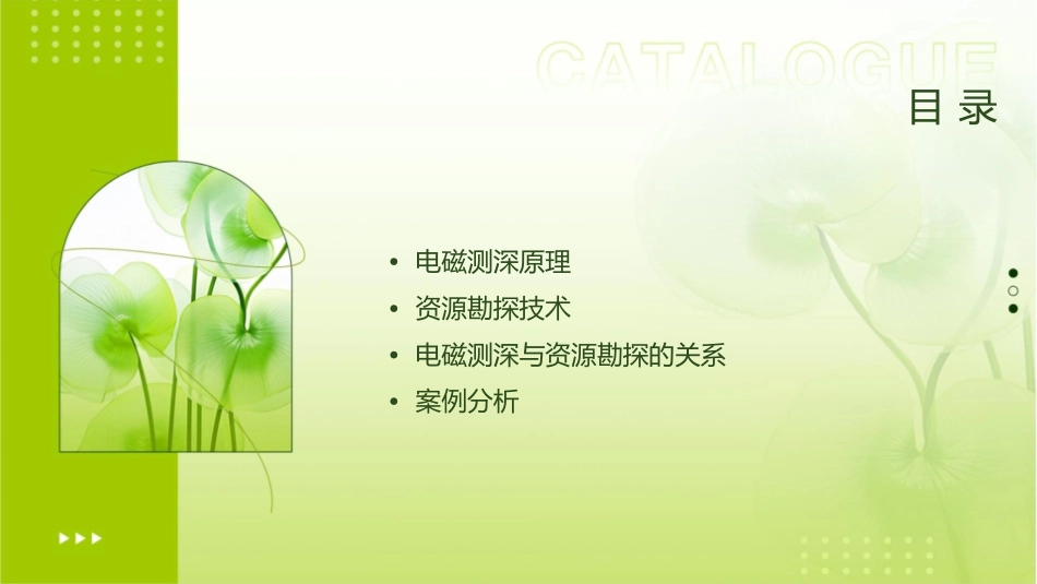 电磁测深原理与资源勘探(魏文博)课件_第2页
