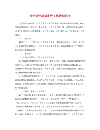 审计局计算机审计工作计划范文 