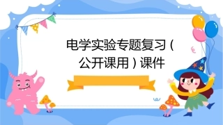 电学实验专题复习(公开课用)课件