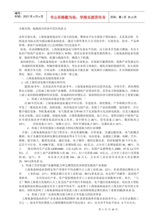 分报告四：临港综合经济开发区的意义