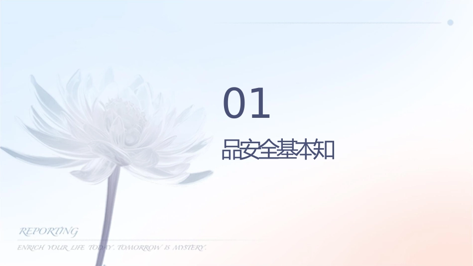 药品安全知识讲座课件_第3页