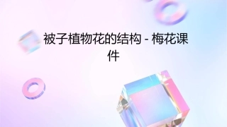 被子植物花的结构梅花课件