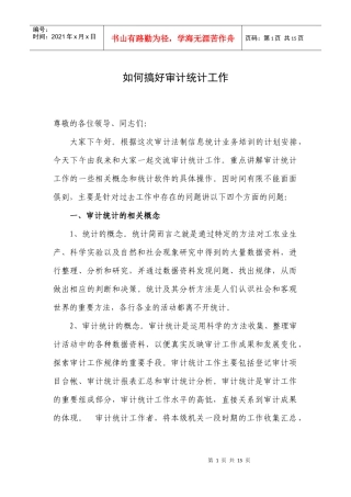审计统计讲稿