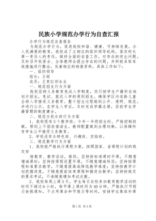 民族小学规范办学行为自查汇报