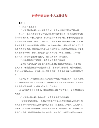 乡镇干部个人工作计划 